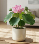 Japanese All Season Lotus Flower / Water Lily