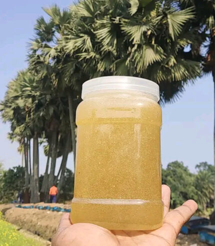 Mustard Flower Honey- 1 kg